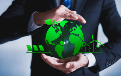 5 Maneras de Construir un Lugar de Trabajo Más Verde