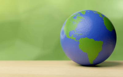 Tendencias Ecológicas: 3 Maneras de Construir una Cadena de Suministro Más Sostenible